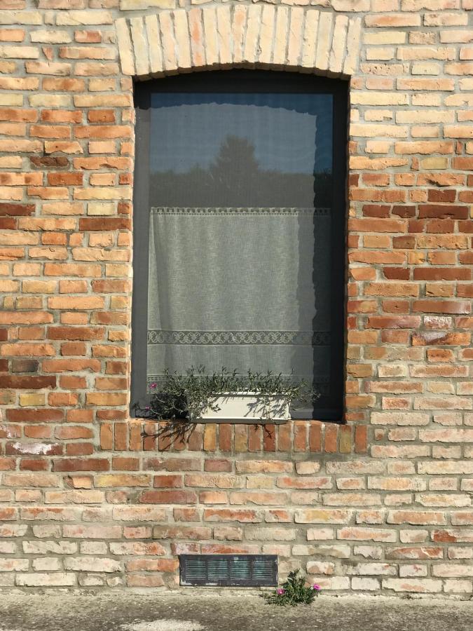Agriturismo Il Colore Del Grano San Vittore エクステリア 写真