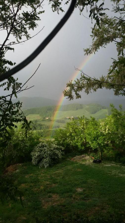 Agriturismo Il Colore Del Grano San Vittore エクステリア 写真