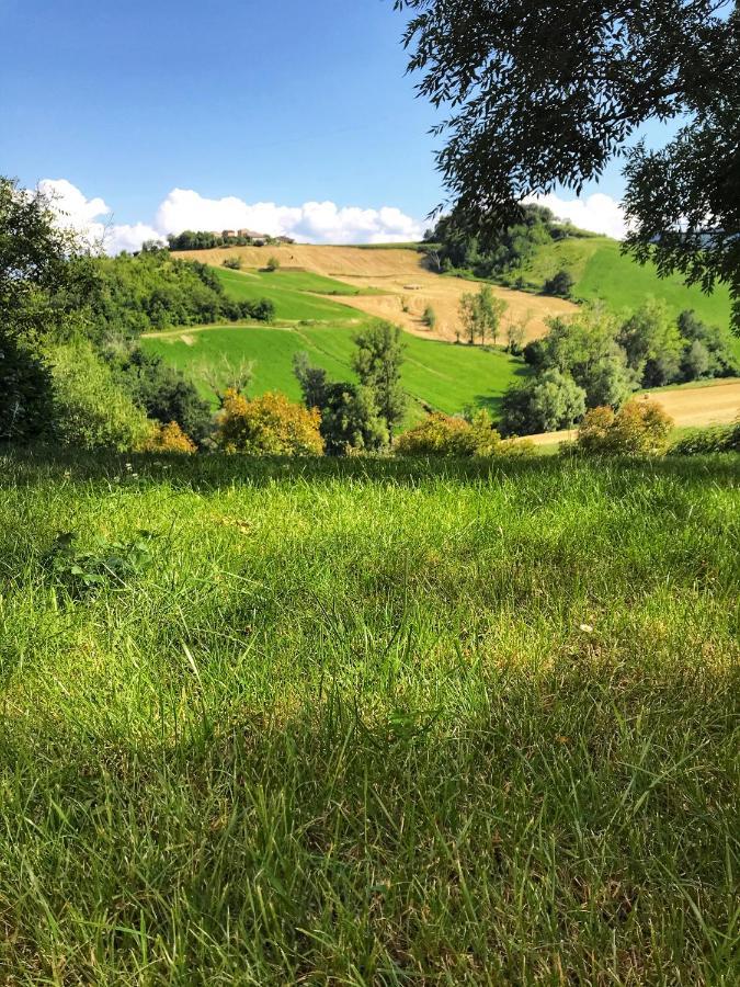 Agriturismo Il Colore Del Grano San Vittore エクステリア 写真