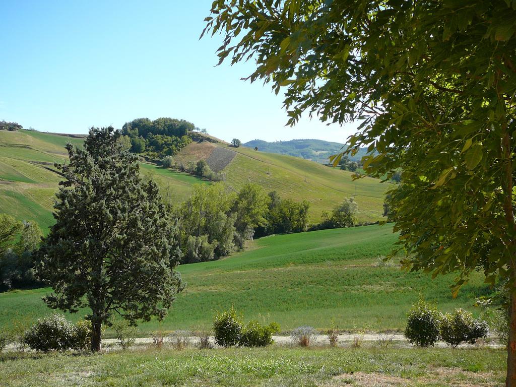 Agriturismo Il Colore Del Grano San Vittore エクステリア 写真